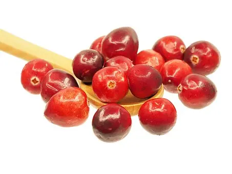 Top Quality Organic Cranberry Seeds Oil at Bulk Price