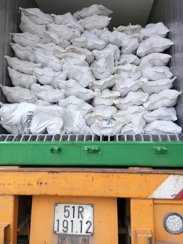 SEMI HUSKED MATURE COCONUT/ COCONUT FULL HUSKED/ FRESH MATURE COCONUT