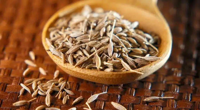 CUMIN SEEDS EUROPE QUALITY ORIGIN INDIA FROM NIK-MAY EXPORTS LLP