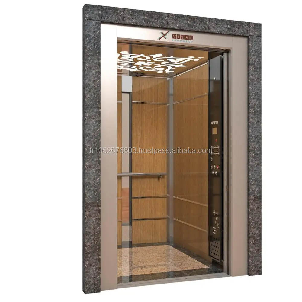 Residential Elevator PASSENGER Lift Commercial Lift Elevator Parts WHOLE KIND Lift Lift MANUFACACTURER Luxury TYPE Lifts 3 Years