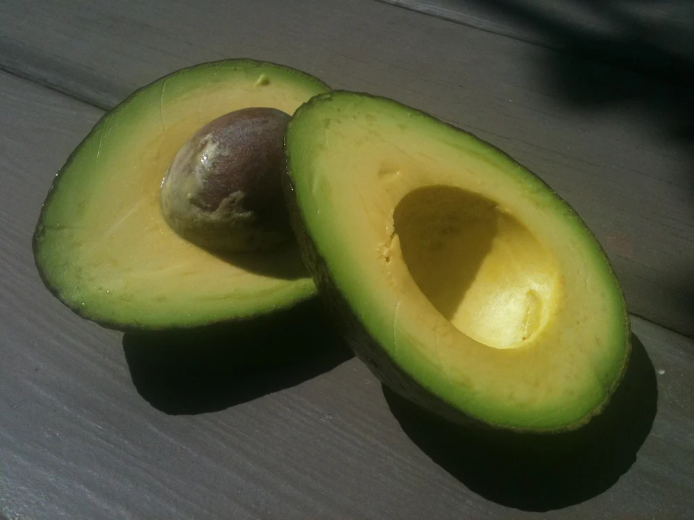 PREMIUM QUALITY OF AVOCADO - GOOD PRICE FROM VIETNAM