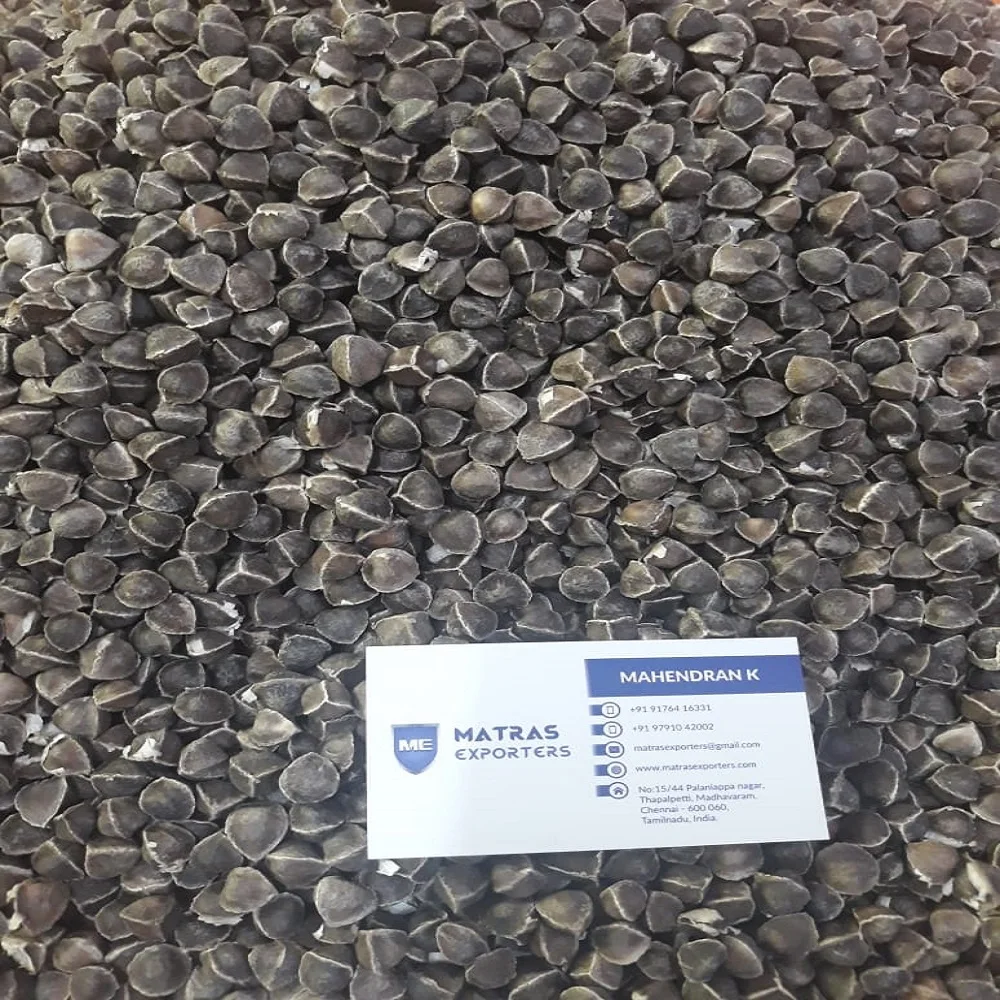 PKM1 Indian Moringa Seeds for Consumption and Cultivation-- Whatsapp :+91 73580 94554