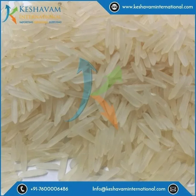 Indian White Sella Basmati Rice Exporter
