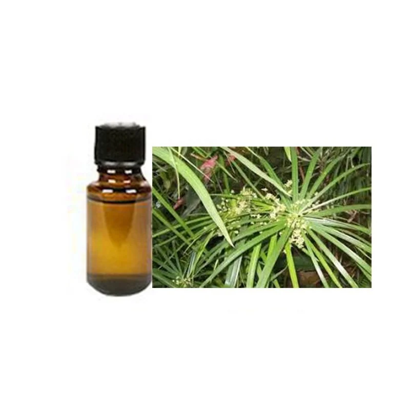 100% чистое и натуральное эфирное масло циприола, отлично восстанавливающееся, отличный выбор для всех типов кожи, доступный по оптовой цене