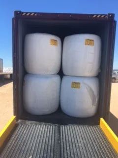 
Alfalfa and Corn Silage 