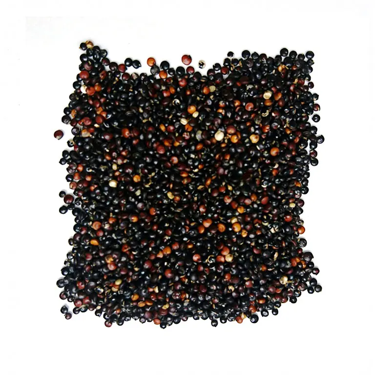 Wholesale Black Quinoa Seed Price