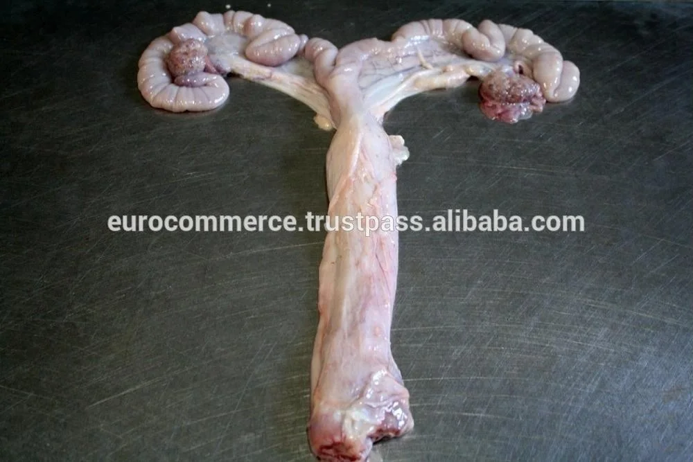 
Pork uterus, uteri 