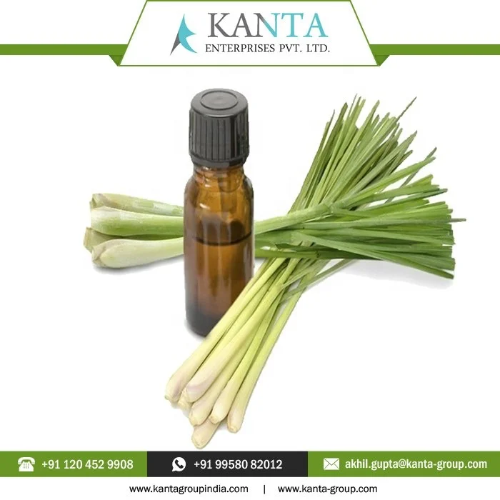 Private Label OEM / ODM 100% Pure & Natural Gingergrass Essential Oil at Sale Bulk Quantity Wholesale Price