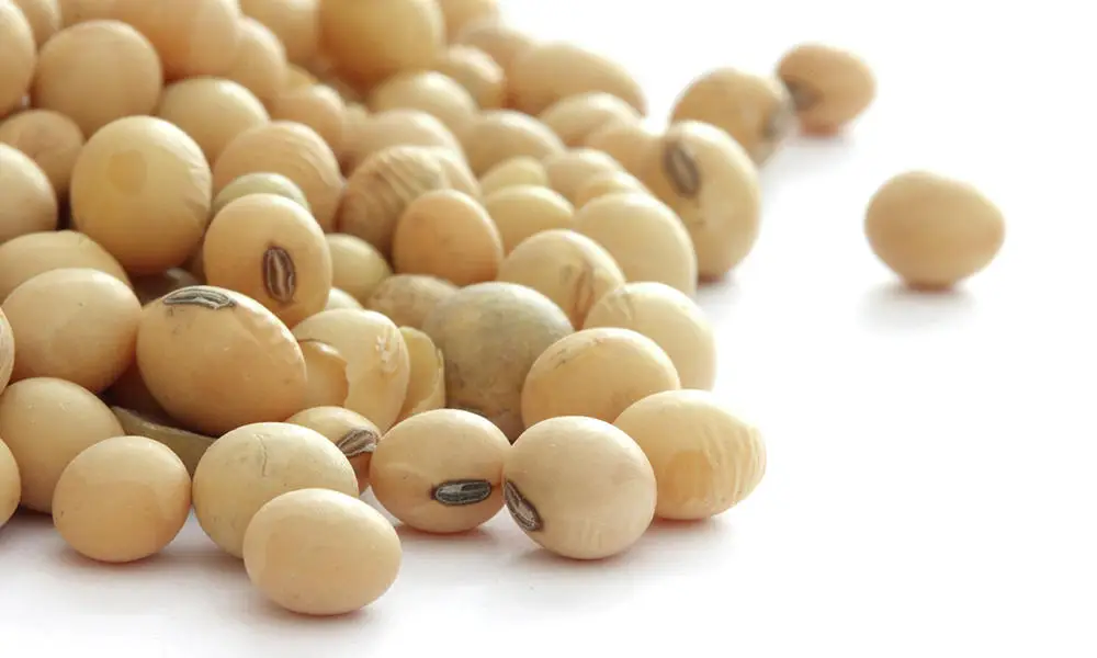
Best Price Soybeans SBDM For Animal Feed With Fast Delivery 