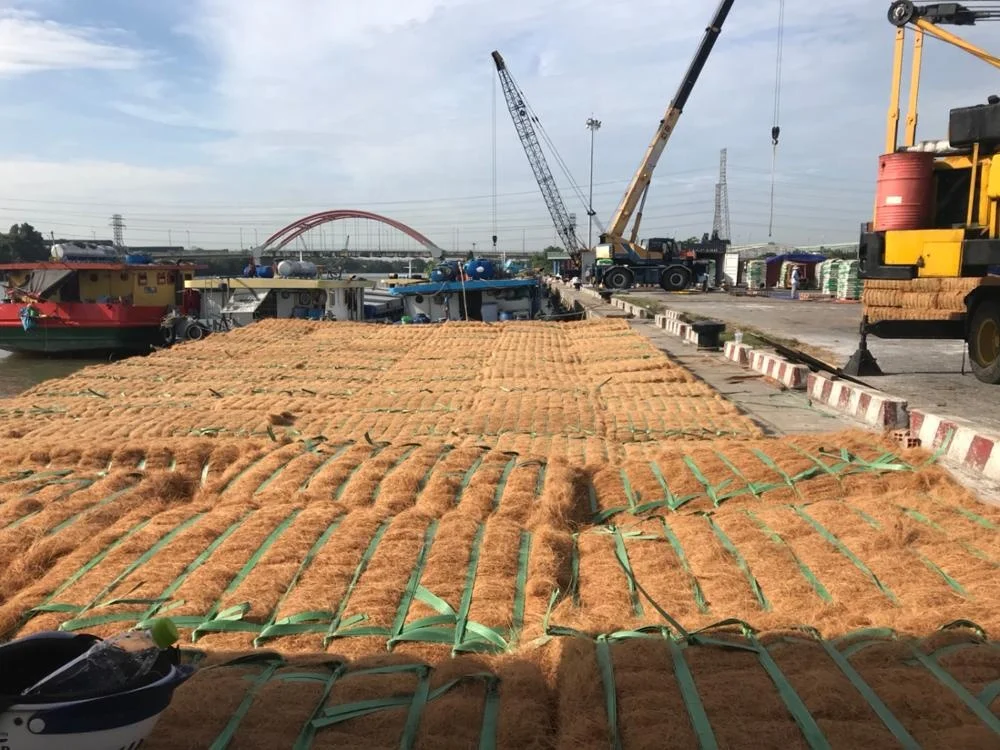 Coconut fiber Vietnam 18% moisture DaiLoc Vina Mr Ran + 84 938244404