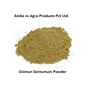 Organic Ocimun Santumum Powder (Tulsi)
