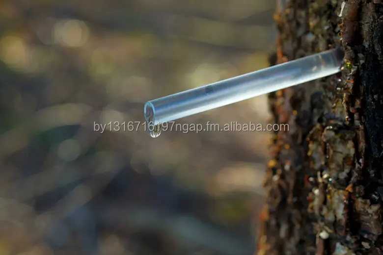 Unique Private Label Product Dry Birch Organic Juice Original From Belarus