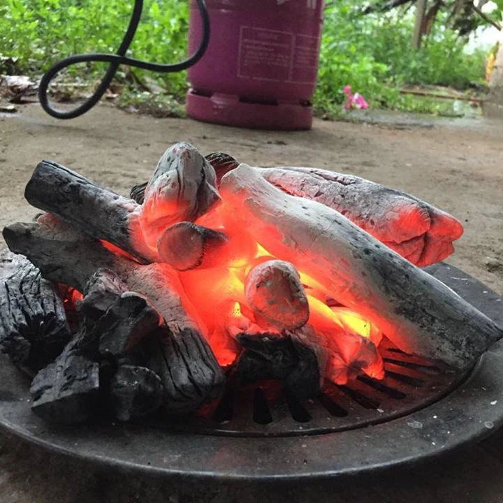 Высококачественный бинчотан из Вьетнама/личи белый уголь