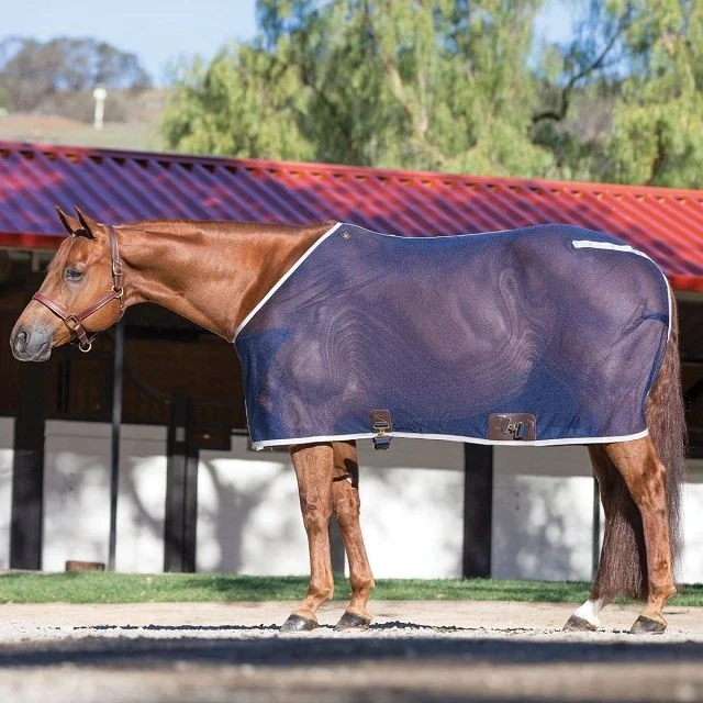 Новинка, сетчатый ковер для лошадей/нахлыстовое полотно 2020 с 4 плечевыми ластовицами/Aussie Универсальный ковер, сетчатый комбинированный ковер для лошадей