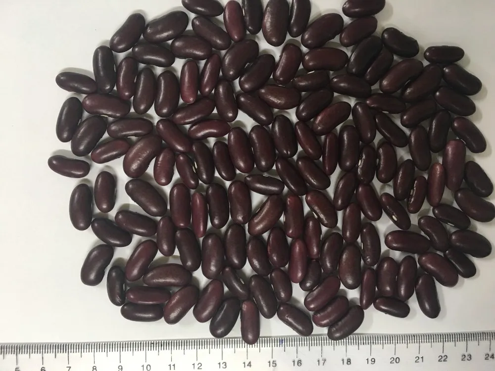 
BEST SELLING VIETNAM RED KIDNEY BEANS 