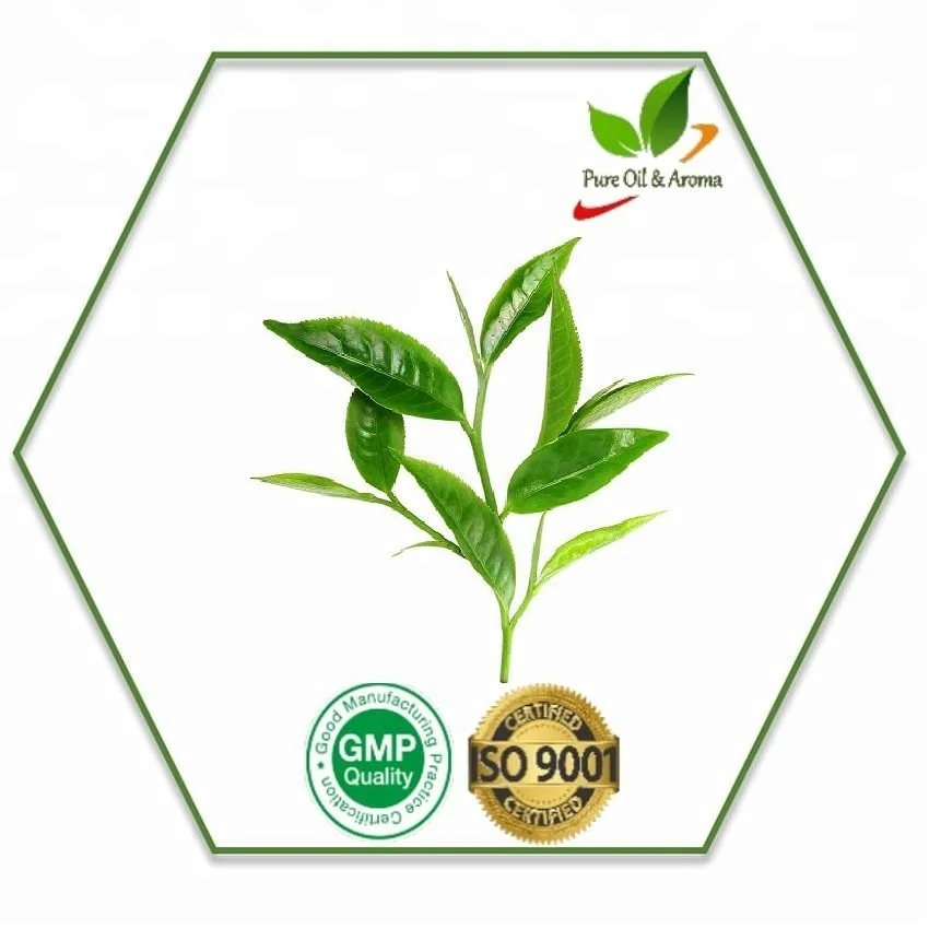 Tea Tree Essential Oil an antiseptic (germ killer) and an herbal medicine.