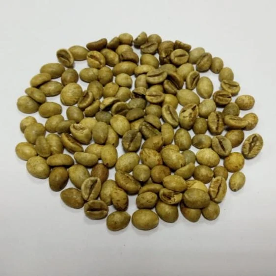 Зеленые кофейные зерна, влажный полированный экран ROBUSTA 18