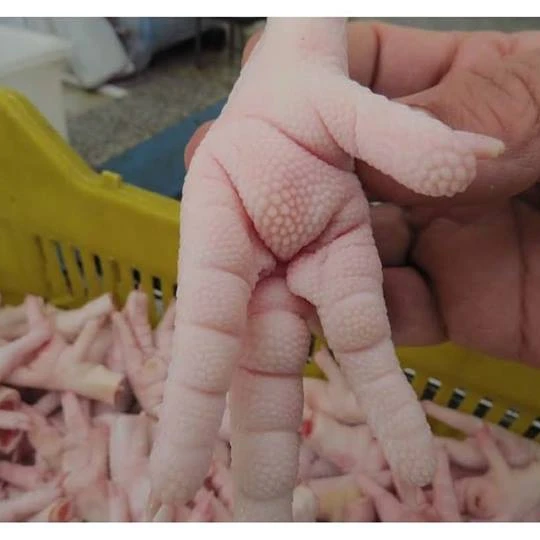 Halal Chicken  Brazilian Origin with 40% Discount for Bulk Buyers/Wholesale cheap cooked Roast whole chicken