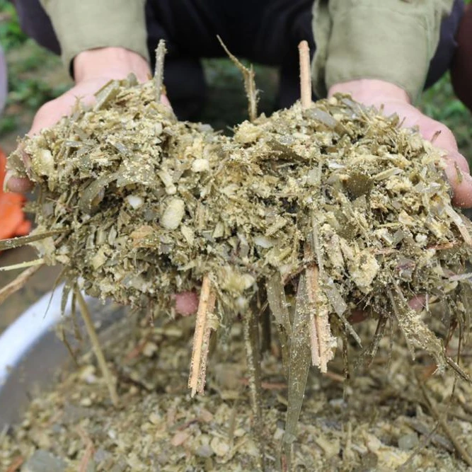 Стебли кукурузы для корма крупного рогатого скота-обезвоженная Кукуруза для силоса-силажи для крупного рогатого скота WHATSAPP 0084 845639639