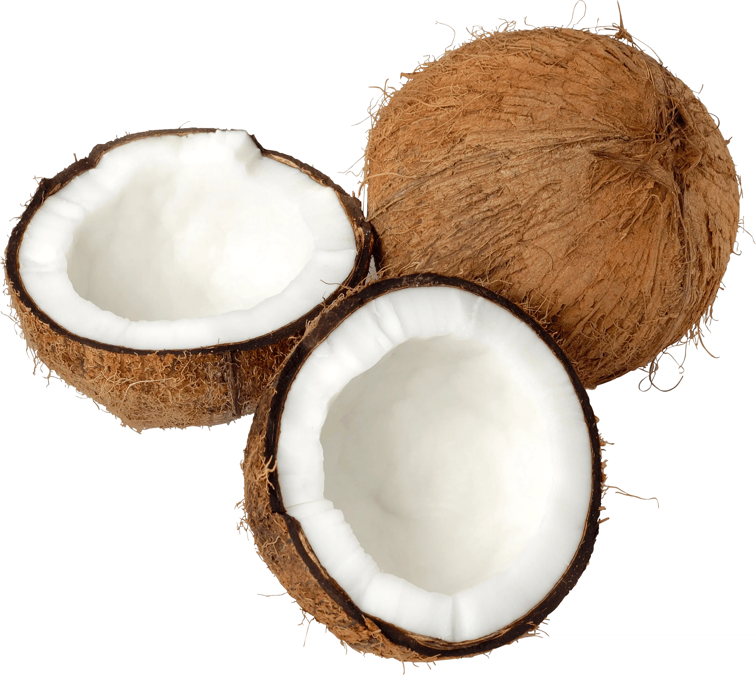 
Dried Coconut Vietnam/Semi Husked Coconut for sale/Fresh Dehusked Coconut 