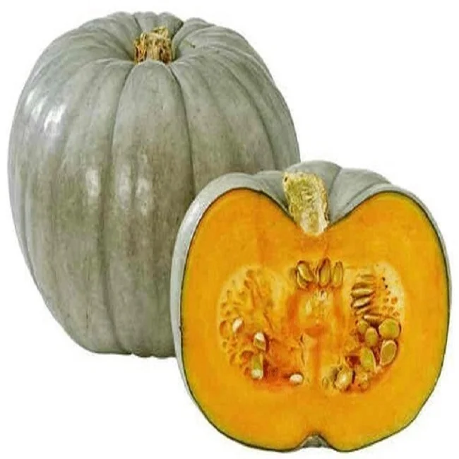 Pumpkin seed oil from India at cheap price