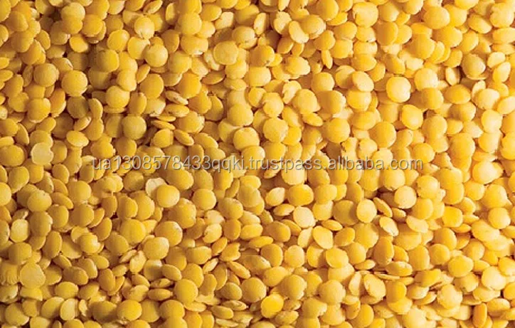 Yellow Lentils / Yellow Whole Lentils and Yellow Split Lentils