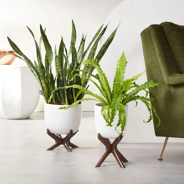 Set Pure White Ceramic Planters It will look great around your home as well as making beautiful centre piece