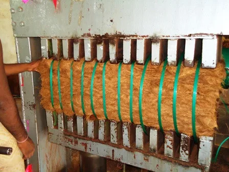 COIR FIBER EXPORTER FROM INDIA