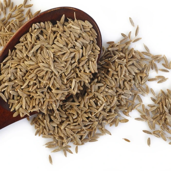 CUMIN SEEDS EUROPE QUALITY ORIGIN INDIA FROM NIK-MAY EXPORTS LLP