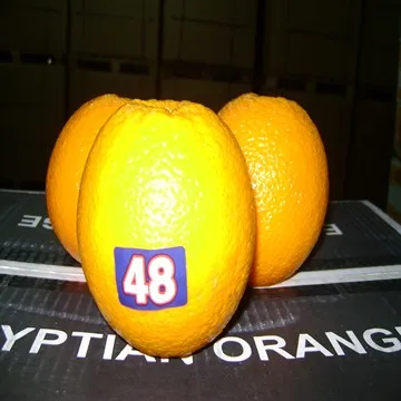 
Orange for sale 