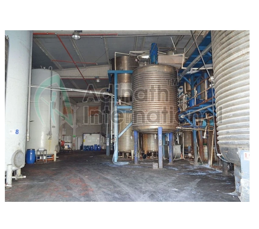 Alkyd Resin Manufacturing Plant