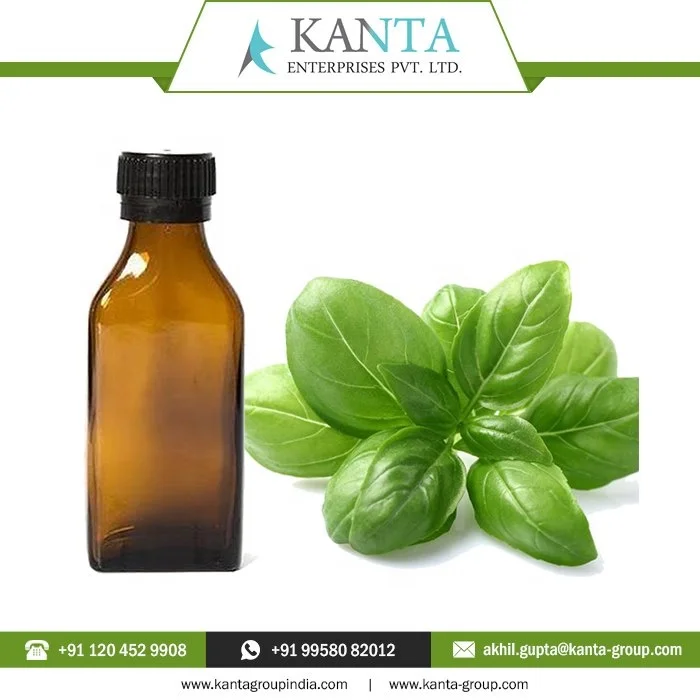 100% Pure And Natural Basil Oil / Basil Essential Oil help improve blood flow at Lower Price From India