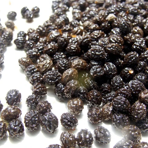 
Organic dried black papaya seeds/Black pawpaw seeds with many health benefits 