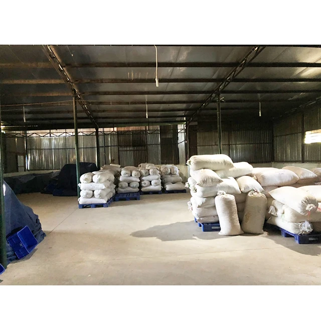 COMPETITIVE PRICE CASHEW NUTS FROM VIET NAM