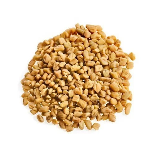 100% pure dehydrated yellow fenugreek seed quality for Oman Saudi Arabia Qatar Dubai importers