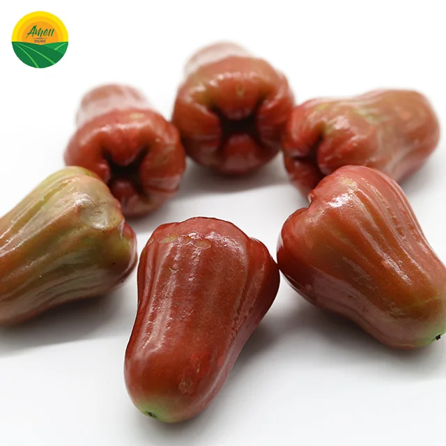 FRESH BELL PRUIT из Вьетнама