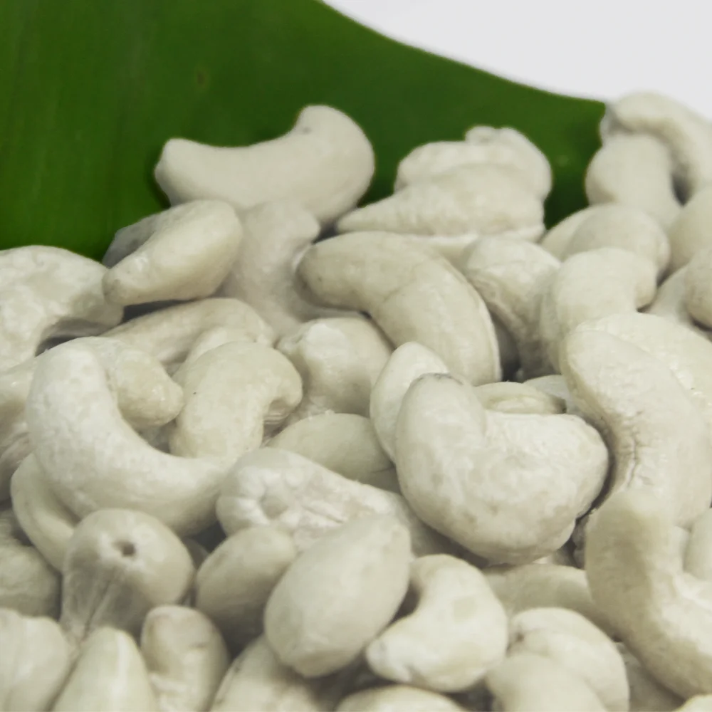 
CASHEW NUTS KERNEL WW320/CASHEW NUTS PRICE 