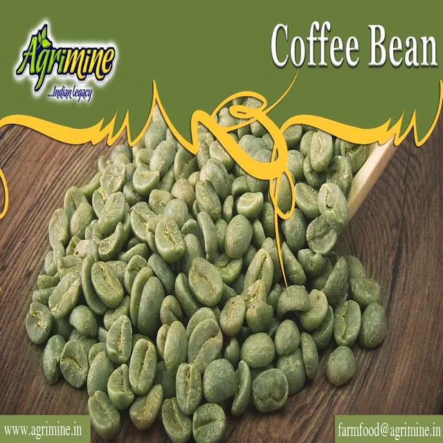 Продавец кофейных зерен ROBUSTA