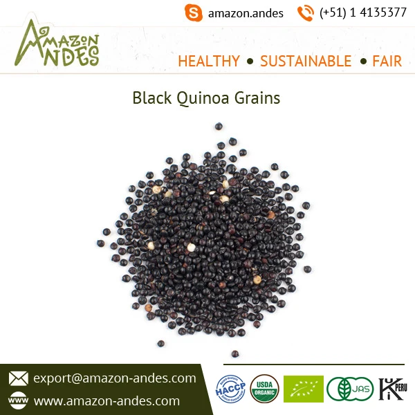 Wholesale Black Quinoa Seed Price