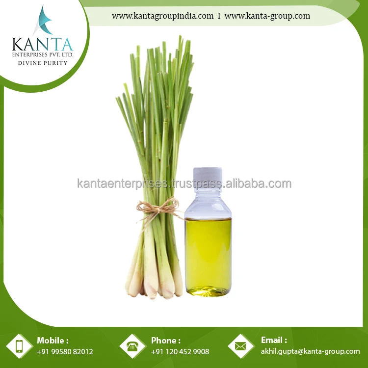 Buy Online Gingergrass Essential Oil / Ginger oil nurtures the skin for Sale Available at Cheap rates