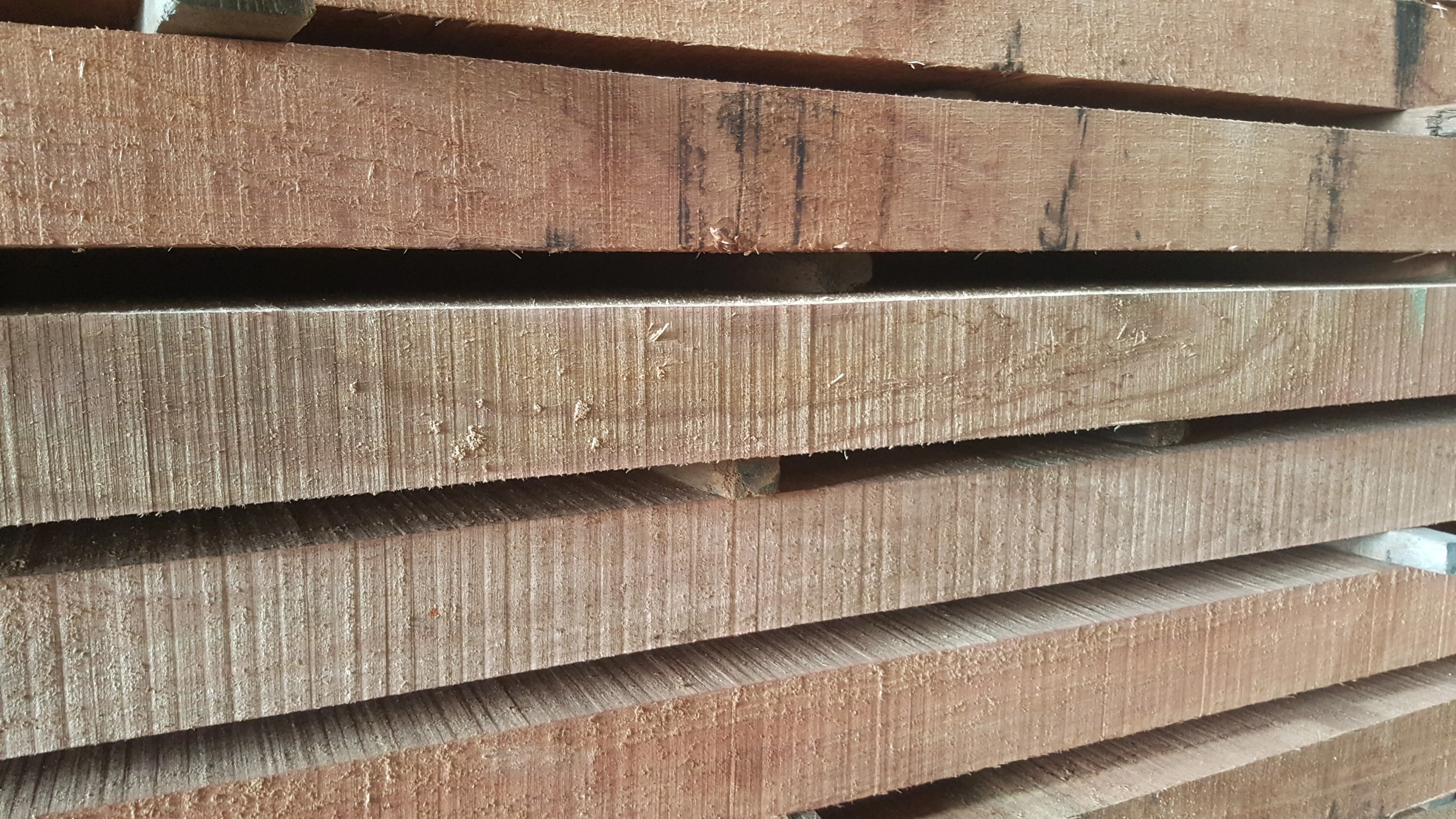 Merpauh Hardwood Sawn Timber Premium Quality Timber for Construction and Furniture Making