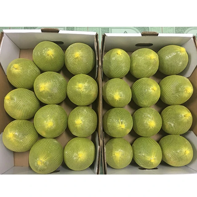 HIGH QUALITY GREEN SKIN POMELO FROM VIET NAM