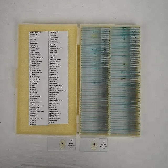 Microscope Histology Human and Medical Prepared Histology Slides Set Biology Histology Educational Microscope Slides