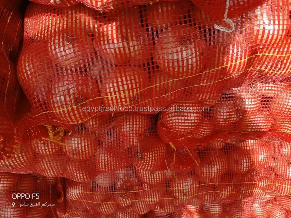 
Wholesale Fresh Onions from Egypt crop 2020 with best price 