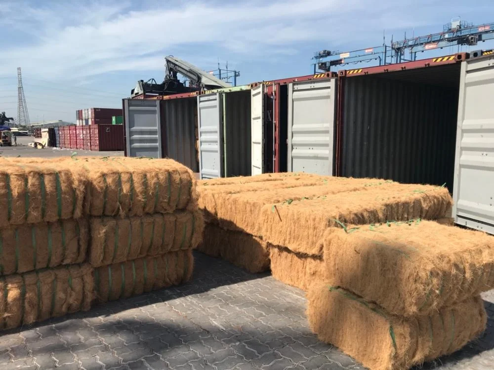 Coconut fiber Vietnam 18% moisture DaiLoc Vina Mr Ran + 84 938244404