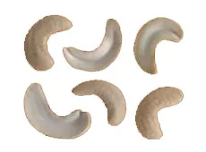Cashew nuts SP