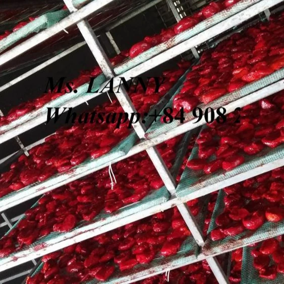 Gac Fruit/ Baby Jackfruit/ Spiny Bitter Gourd sprcial food OF VietNam