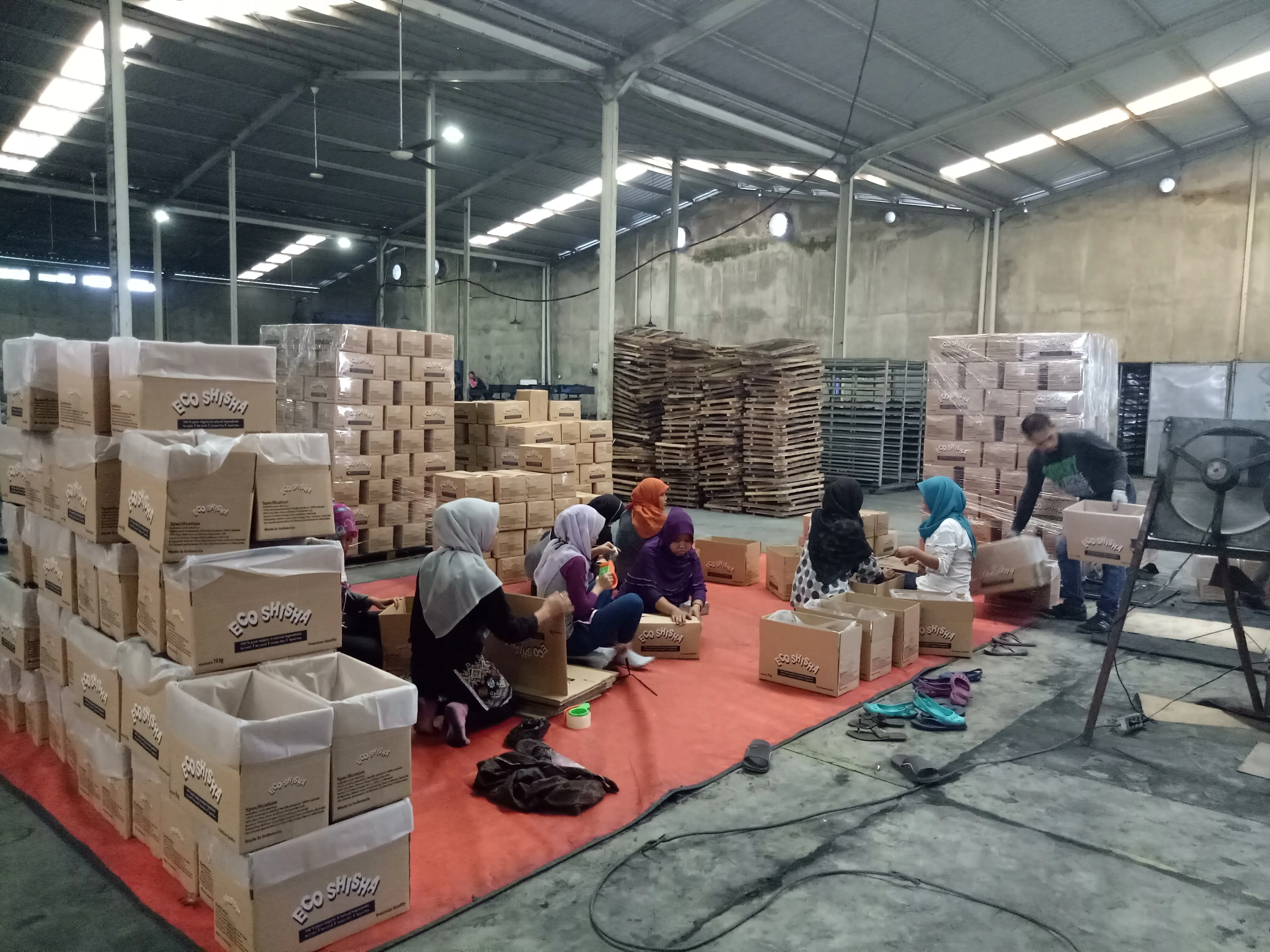 Coconut Shell Charcoal / Natural Coconut Shell Coal