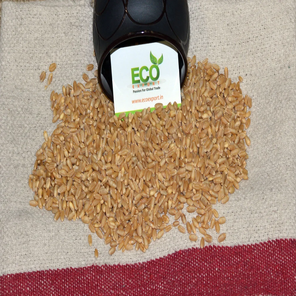 Машина primium для очистки мягкой пшеницы