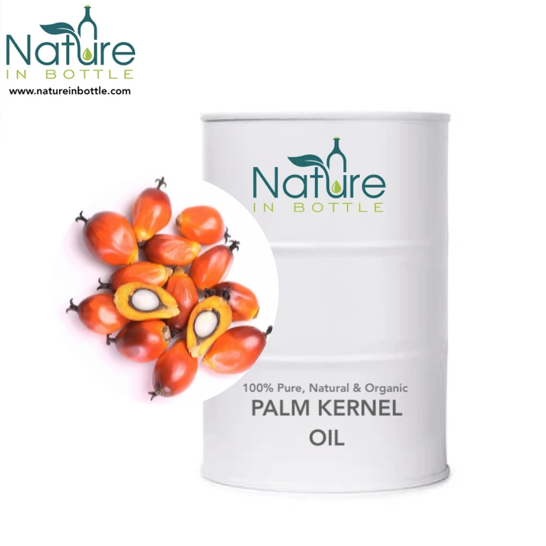 Palm Kernel Oil | Organic Elaeis guineensis Kernel Oil - 100% Pure and Natural Essential Oils - Wholesale Bulk Price